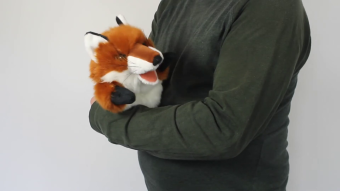 Folkmanis Handpuppe Kleiner Fuchs (kleine Stage Puppet) Demo