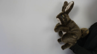 Folkmanis Handpuppe Hase Demo 2