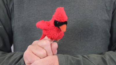 Video 1: Folkmanis Fingerpuppe mini Kardinalvogel