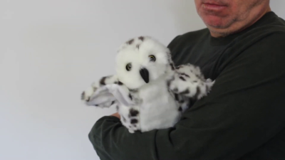 Video 1: Folkmanis Handpuppe kleine Schneeeule (kl. Stage Puppet)