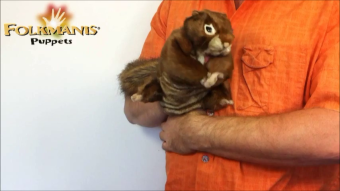Folkmanis Handpuppe rotbraunes Eichhörnchen Demo 2