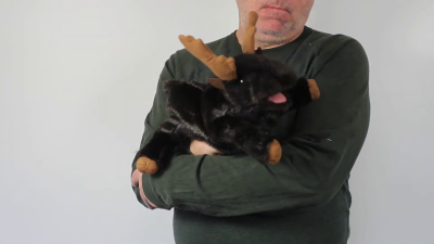 Video 1: Folkmanis Small Moose Hand Puppet
