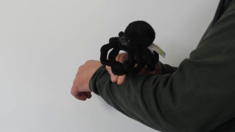 Folkmanis Fingerpuppe mini Spinne Demo