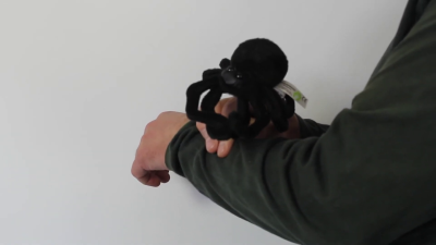 Video 1: Folkmanis Fingerpuppe mini Spinne