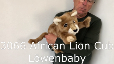 Video 2: Folkmanis Handpuppe Löwenbaby