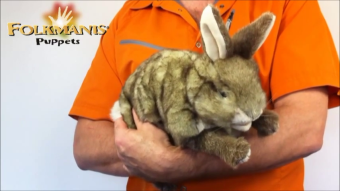 Folkmanis Handpuppe Baumwollschwanz-Kaninchen Demo 2