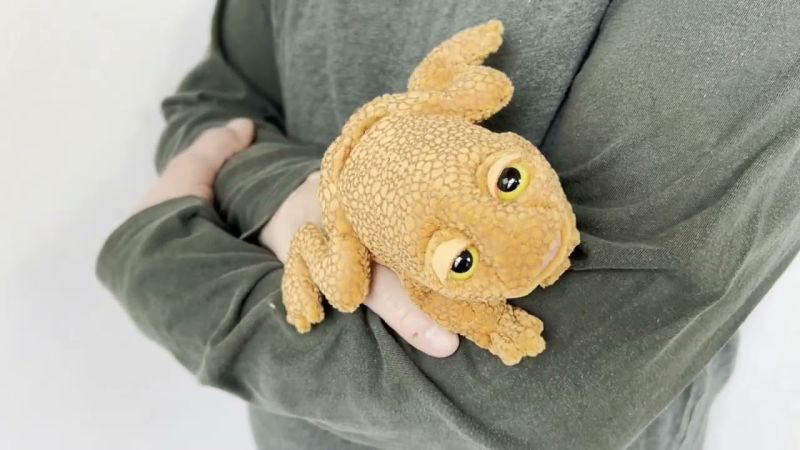 Folkmanis Mini Toad Finger Puppet Demo