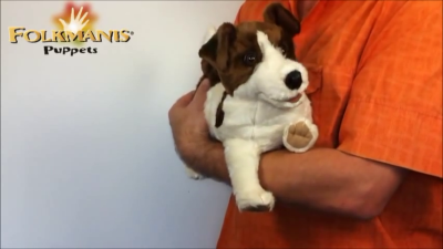 Folkmanis Handpuppe Jack Russell Terrier Demo 2