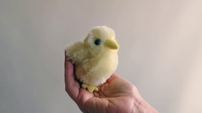 Video 1: Folkmanis Fingerpuppe mini Küken