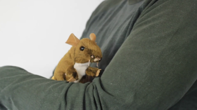 Video 1: Folkmanis Fingerpuppe mini Feldmaus