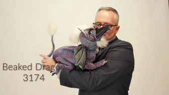 Folkmanis Handpuppe Schnabeldrache Demo 2