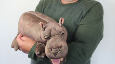 Video 2: Folkmanis Handpuppe Nilpferdbaby
