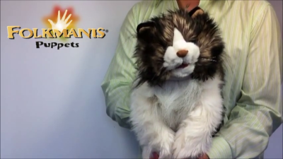 Video 2: Folkmanis Ragdoll Cat Hand Puppet