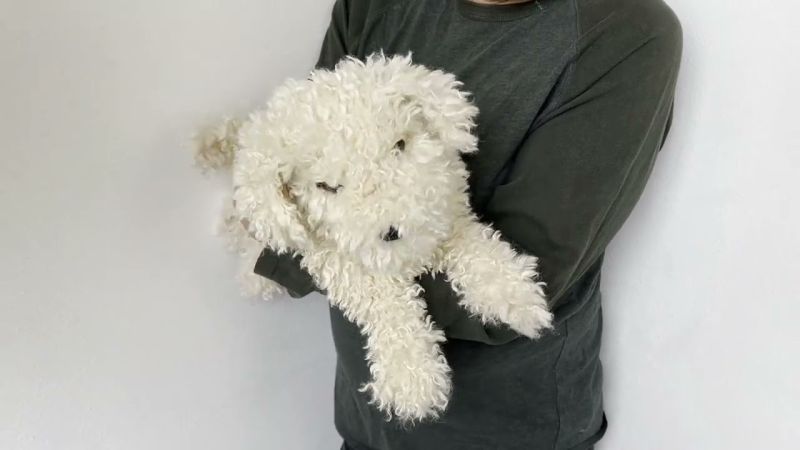 Folkmanis White Poodle Puppy Hand Puppet Demo