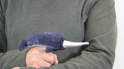 Video 1: Folkmanis Fingerpuppe mini Narwal