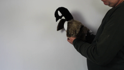 Folkmanis Handpuppe Kanada-Gans Demo