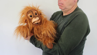 Folkmanis Baby Orangutan Hand Puppet Demo